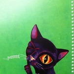 das-geheimnis-vom-kleinen-schwarzen-kater04