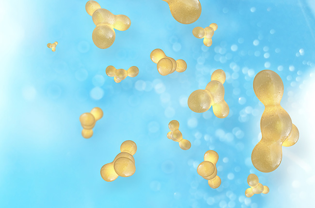 Eigenfettkomposition